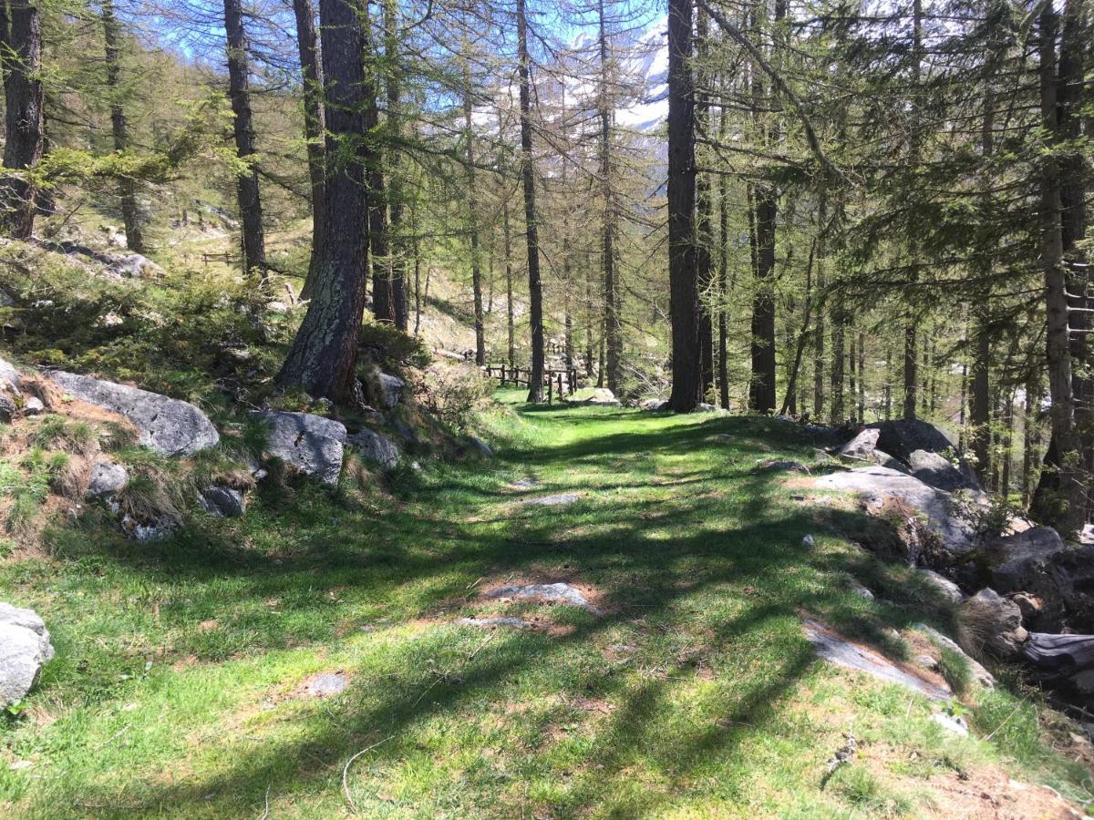 Chalet Del Lago Ceresole Reale Luaran gambar