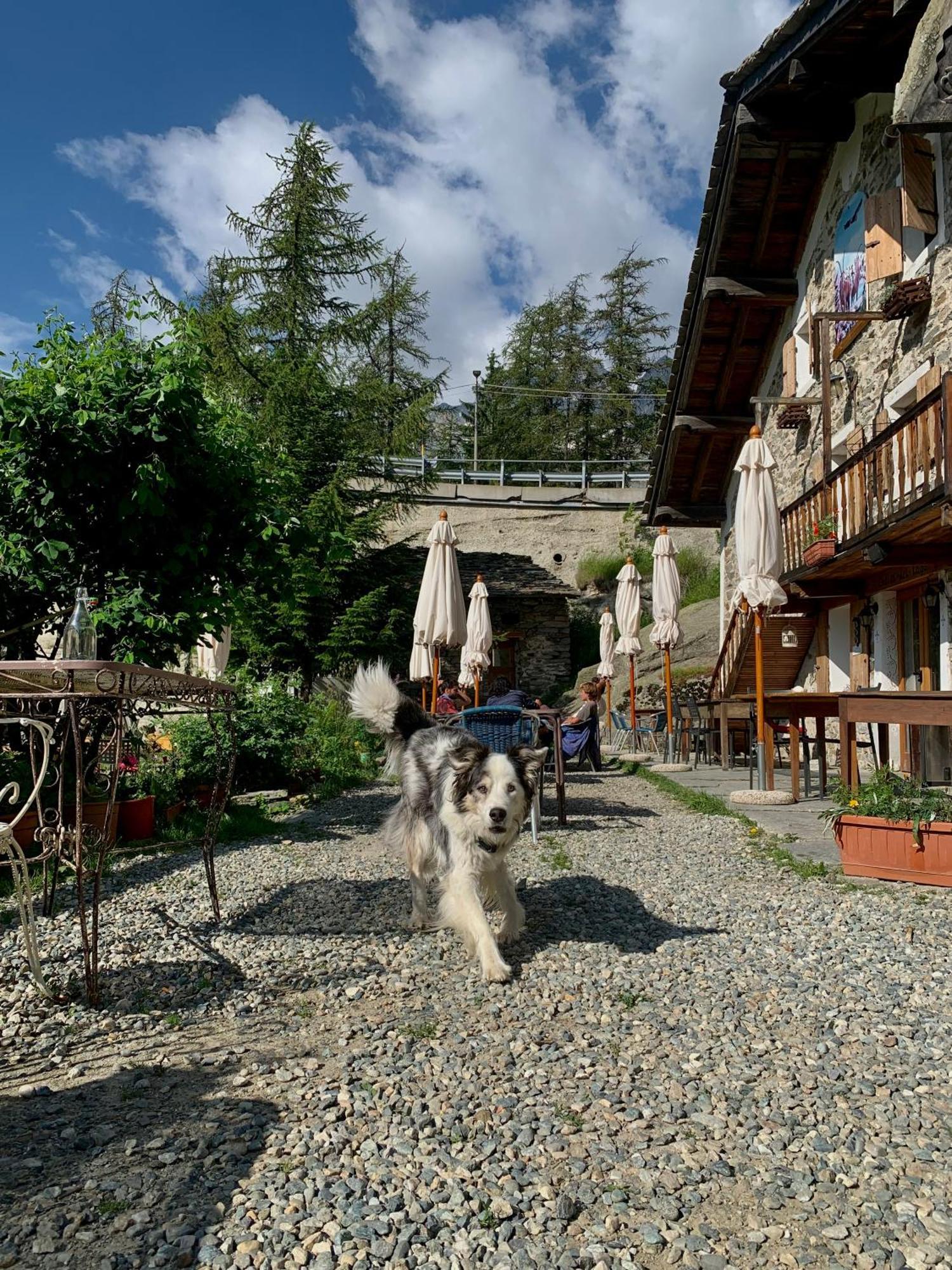 Chalet Del Lago Ceresole Reale Luaran gambar