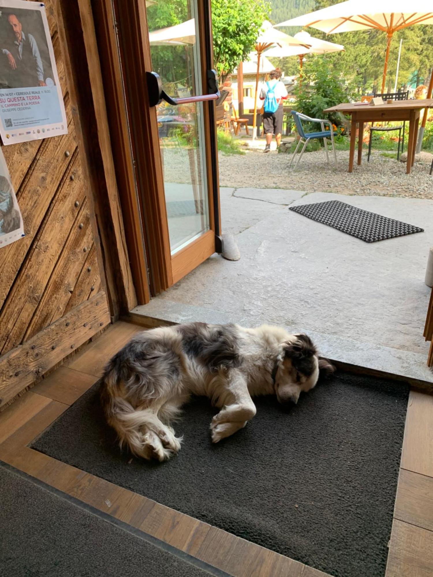 Chalet Del Lago Ceresole Reale Luaran gambar